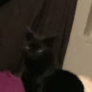 Meet your Posher, Zoey